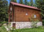 Zalegalizowany dom w Zabljak z kominkiem otoczony lasem iglastym