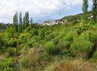 Ziemia w Близикуче 686 m2 z urbanizacją, z pięknym widokiem na Sveti Stefan