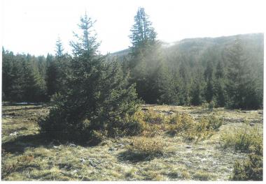 Ekskluzywna górska kraina na farmę myśliwską 19720 m pośród dziewiczej przyrody Durmitor